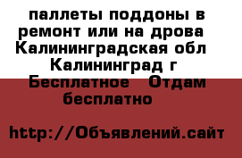 паллеты поддоны в ремонт или на дрова - Калининградская обл., Калининград г. Бесплатное » Отдам бесплатно   